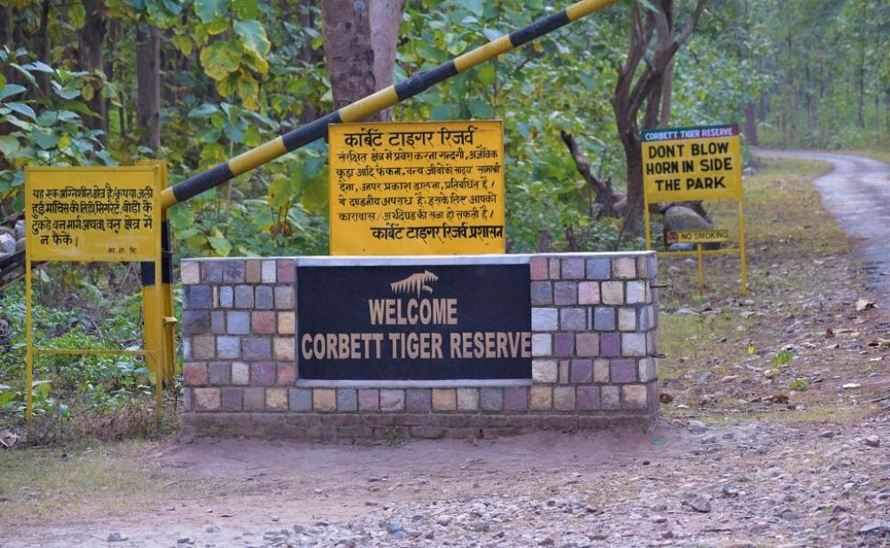 corbett tiger Reserve