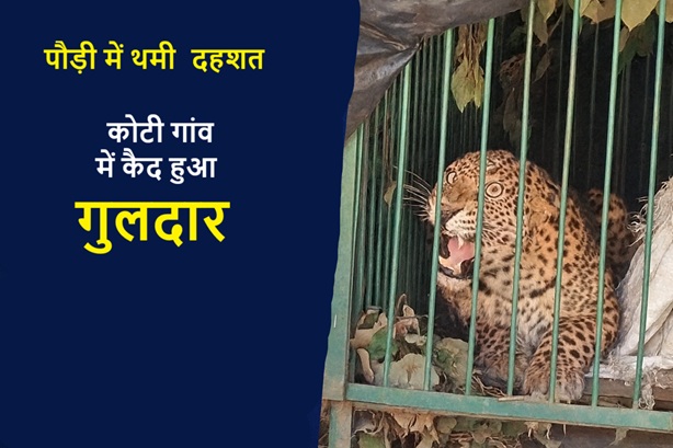 कोटी गांव में गुलदार कैद